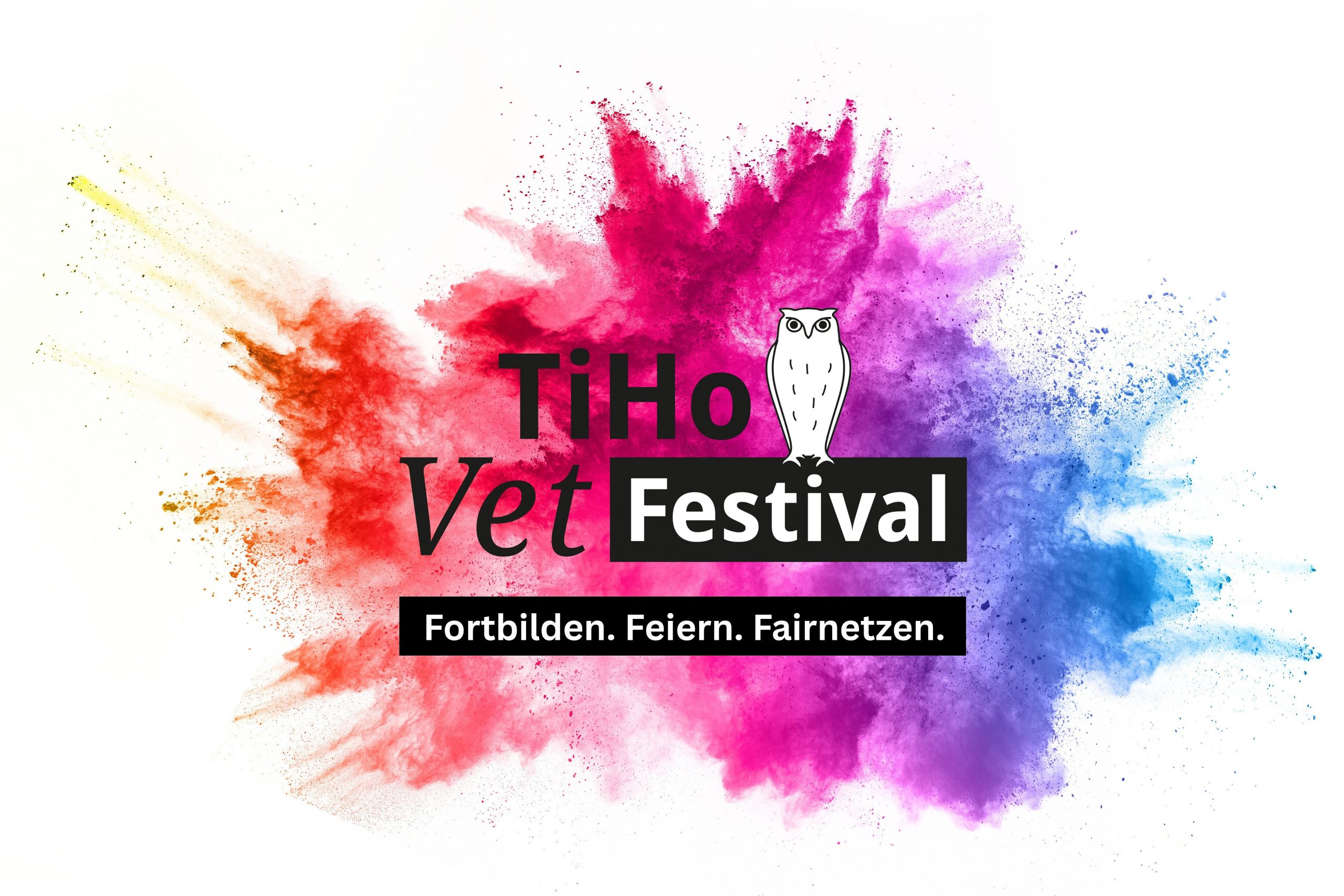 csm_PM250606_VetFestival_Logo_Splash_d8c470f311